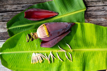 banana blossom