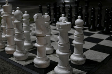 large white and black chess pieces z