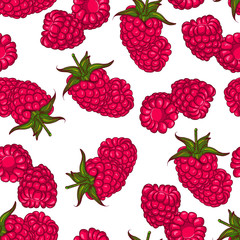 Vector seamless pattern with raspberry berries. Illustration isolated on white background. Hand drawn pattern