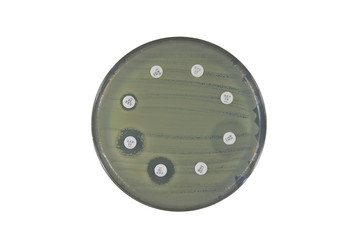 antimicrobial susceptibility test