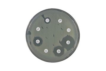 antimicrobial susceptibility test