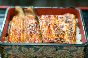 Grilled eel with sauce on rice in Box. Japanese cuisine