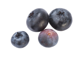 Frische Heidelbeeren