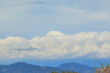 Obraz premium Top of Fuji mountain with cloud and blue sky background