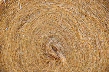 detail of round haystack 