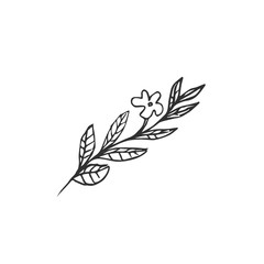 leaf isolated on white background, vector illustration