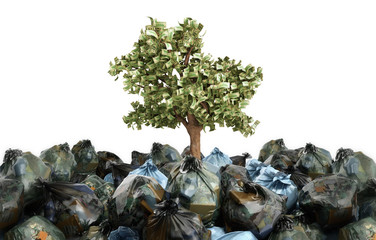 modern concept of profit from recycling money tree growing out of garbage bags 3d render