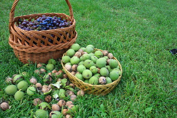 Kosze pełne orzechów włoskich i winogron stojące na trawie