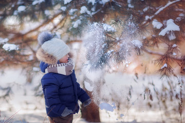 boy shaking off snow from the branch of fir tree