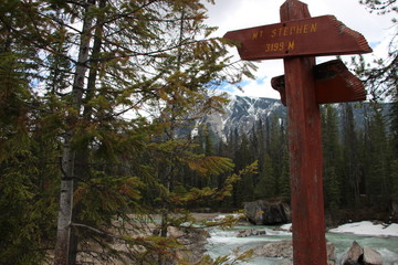 Canadian Rocky Mountain