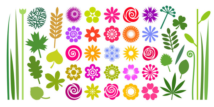 Set of colorful summer flowers, leaves and stems in imple cartoon flat style.
