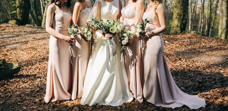 Bridesmaids in powder pink pastel dresses are standing near the bride and groom outdoors. Beautiful girls on wedding day. Elegant friends photo details with bouquets. Autumn fall weather with leaves.