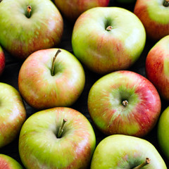 Apples, harvest, fresh fruit, close-up