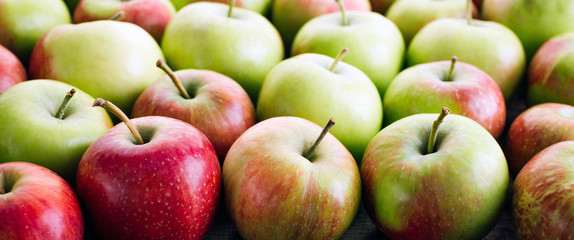 Apples, harvest, fresh fruit, close-up, long banner