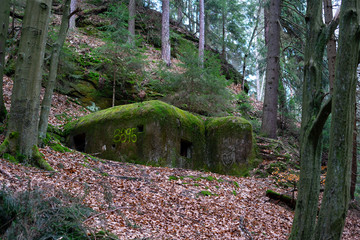Old military bunker with moss