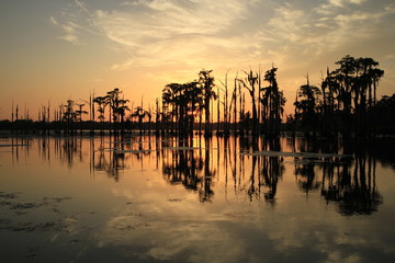 Cypress Swamp Sunset