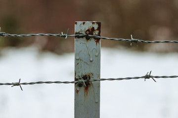 Lackläufer