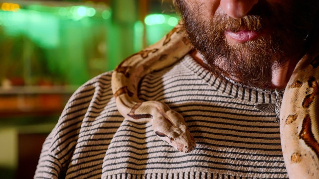 Snake is crawling on the shoulders of bearded hipster