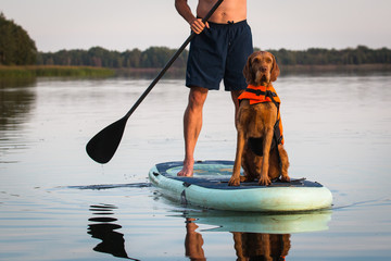 Stand up paddling mit Hund , SUP
