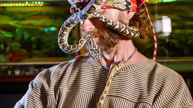 Snake on the man's face. Terrible video with snakes in role of domestic pets.