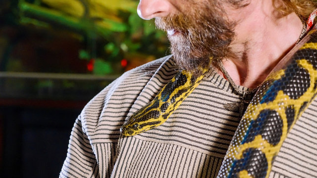 Snake is crawling on the shoulders of bearded hipster