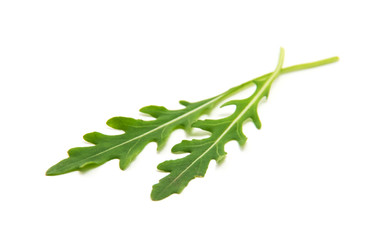 Fototapeta premium Green arugula leaf isolated on white