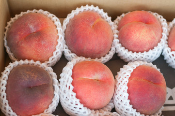 fresh peaches in shockproof