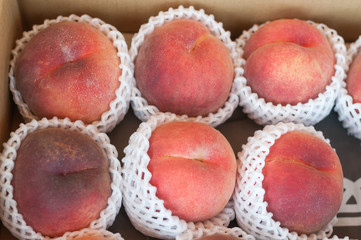 fresh peaches in shockproof
