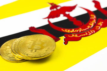 bitcoins on national flag of BRUNEI for cryptocurrnecy digital marketing business icon