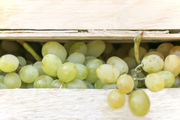 Side view of white grapes in a wooden box.