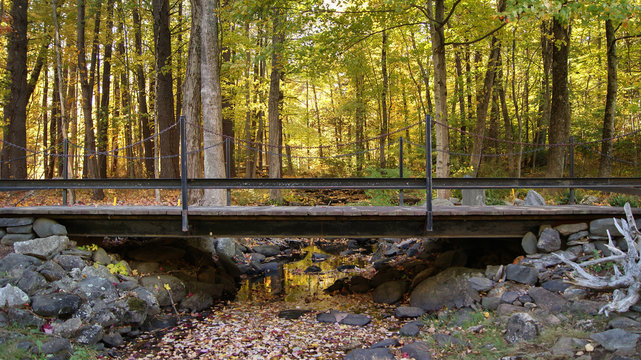 Bridge over river crossing trough the forest during the beginning of the autumn fall season in Massachusetts, New England