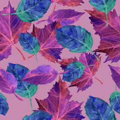 Seamless pattern cartoon watercolor fallen down autumn blue, pink leaves tree on purple background