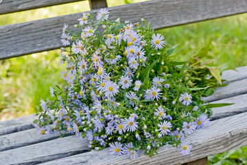 A bouquet of autumn flowers on a wooden bench