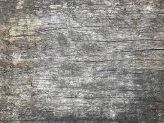 Close-up view gray wooden wall or floor, background texture, garden or park