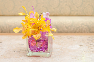 Pink and yellow Orchid flower on the vase, select focus with shallow depth of field