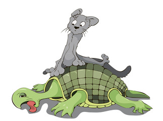 gray cat sitting on the tired tortoise