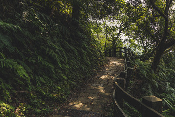 Fototapeta premium Scenic path of Elephant Mountain in Taipei, Taiwan