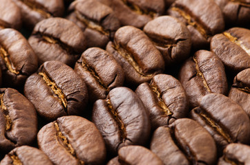 Coffee beans background