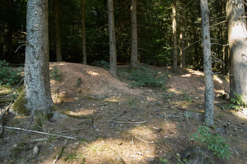 Dachsbau