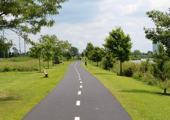 Fototapeta na wymiar The long straight empty path in the park on a sunny day.