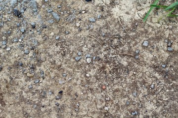 The dry cracked dirt soil ground texture on a close up view.