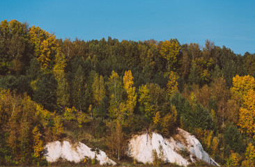 Fototapeta premium Autumn forest on a cliff. Nature landscape. Mountain view. Colorful leaves