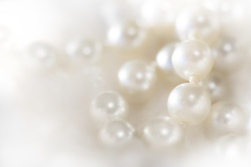 Beautiful Pearls on white