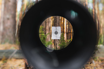 Sniper gun scope view