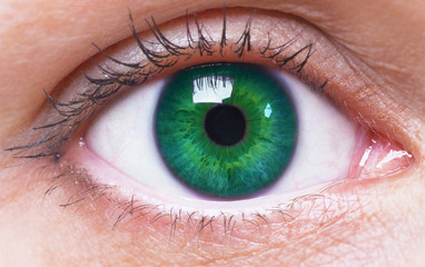 girl's green eye close up