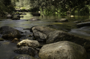 Rio en calma