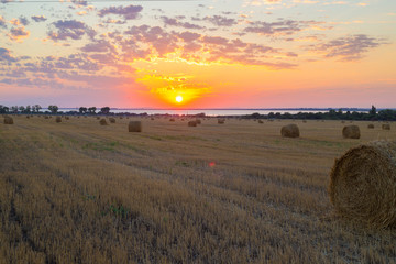 sunset on a sloping field with haystacks