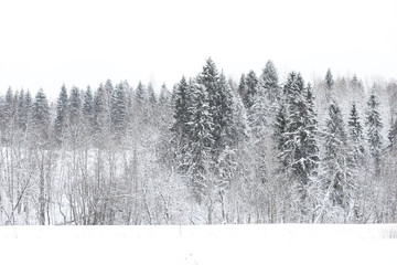 Landscape in the winter cloudy day