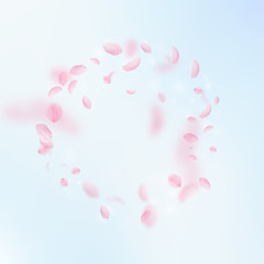 Obraz na płótnie Canvas Sakura petals falling down. Romantic pink flowers frame. Flying petals on blue sky square background