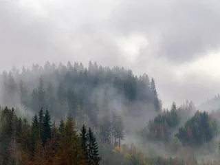Photo sur Plexiglas Forêt dans le brouillard The Carpathian mountains landscape during mist in the autumn season